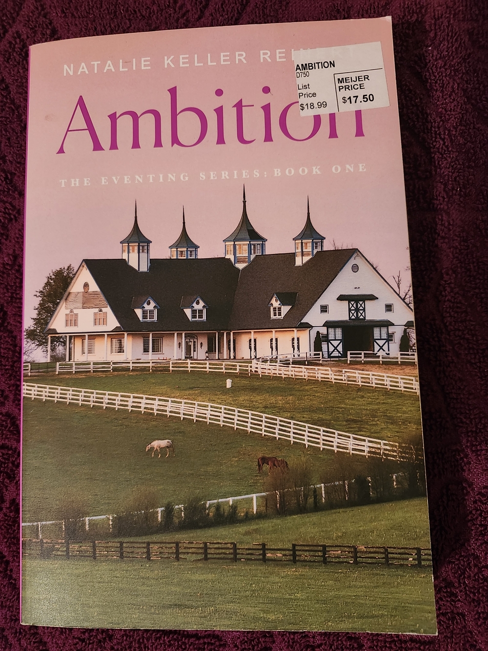 Chronicle Books Pink Ambition Paperback